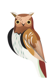 Studio Roof -Tawny Owl