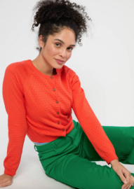 Blutsgeschwister Sweet Knit-I'm Worth It-Red