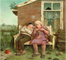 Marius van Dokkum - Puzzel Liefde vergaat niet