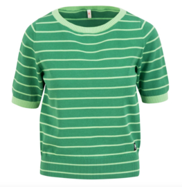 Blutsgeschwister Top Pretty Preppy -GreenPicnic Parade Stripes