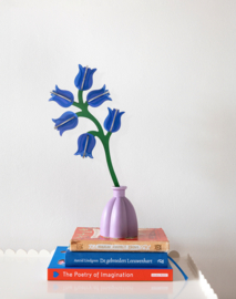 Studio Roof -Campanula