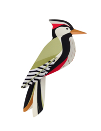 Studio Roof -Woodpecker