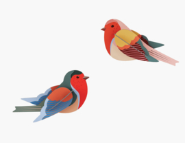 Studio Roof -Robins