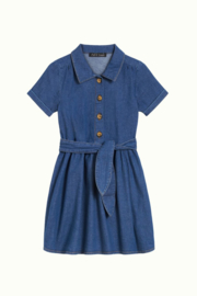 Petit Louie  Olive dress chambray