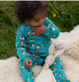 Little Green Radicals-Garden Birds Organic Babygrow