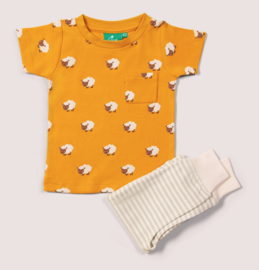 Little Green Radicals- Counting Sheep Organic set T-shirt en broek