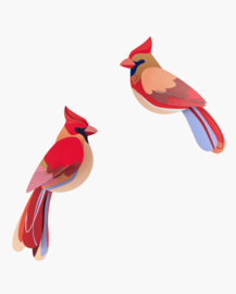 Studio Roof -Cardinals