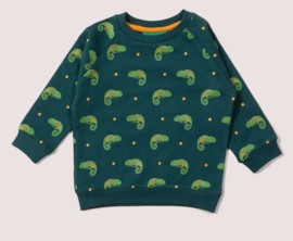 Little Green Radicals- Little Lizard Sweater