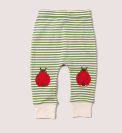 Little Green Radicals- Ladybird gestreepte broek met kniepatch