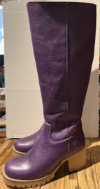 Grünbein Marit Purple