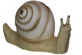 Figuurlamp slak