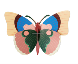 Studio Roof Cepora Butterfly