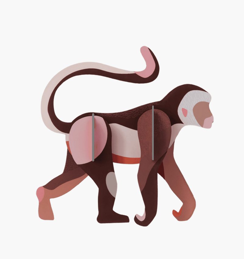 Studio Roof Monkey