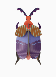 Studio Roof Queen Beetle
