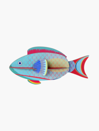 Studio Roof - Parrot Fish