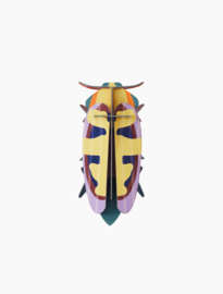 Studio Roof Mango flower Beetle