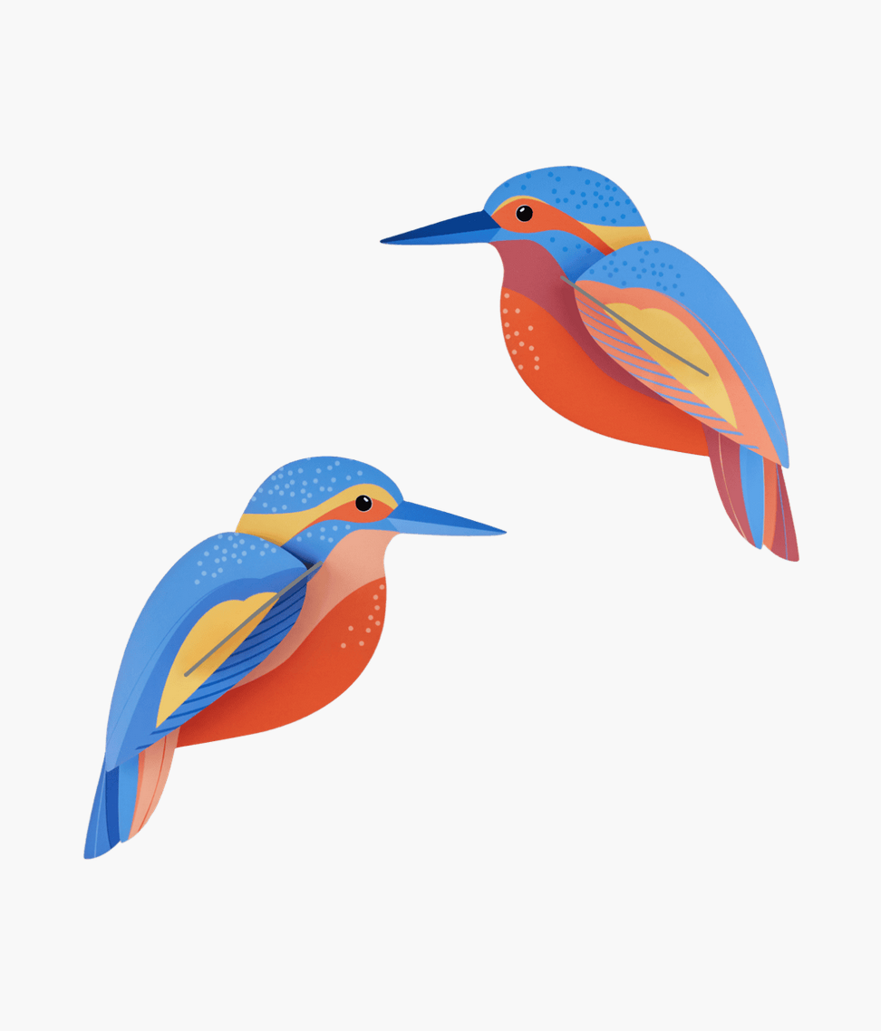 Studio Roof -Kingfishers