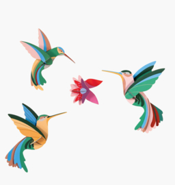 Studio Roof - Dance of Humming birds