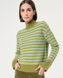 Surkana Striped Jumper Turtleneck Green 564ALZE231