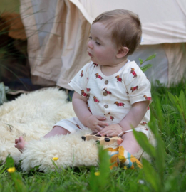 Little Green Radicals- Sausage Dog  Summer Romper