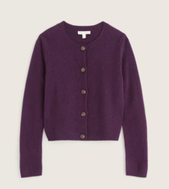 Seasalt Tern Tide Cadigan - Loganberry