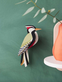 Studio Roof -Woodpecker