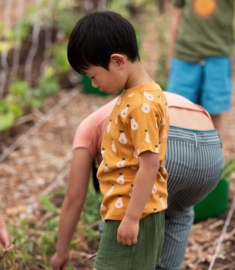 Little Green Radicals- Summer Pears Short sleeve  T-shirt