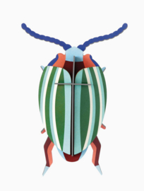 Studio Roof Rainbow leaf Beetle