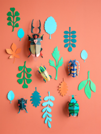 Studio Roof Wall of Curiosities - Beetle Antiquary