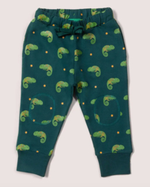 Little Green Radicals- Little Lizard broek