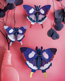 Studio Roof Swallowtail Butterflies