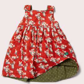 Little Green Radicals- Little Rabbits Reversible Pinny Dress