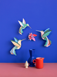 Studio Roof - Dance of Humming birds