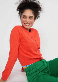 Blutsgeschwister Sweet Knit-I'm Worth It-Red