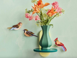 Studio Roof -Sparrows