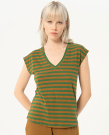 Surkana Wide Striped T-shirt  Khaki 524FUSI013