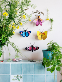 Studio Roof Longwing Butterfly