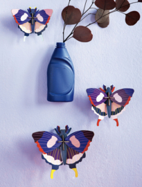 Studio Roof Swallowtail Butterflies