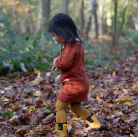 Little Green Radicals-  Ginger Knitted Collar Dress