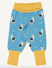 Maxomorra rib pants Seagull