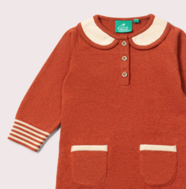 Little Green Radicals-  Ginger Knitted Collar Dress