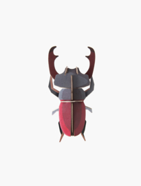 Studio Roof Stag Beetle