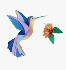 Studio Roof - Humming Bird