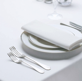 Napkins White 51x51cm - Treb SP