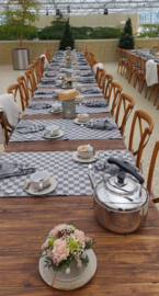 Camino de Mesa Cuadros Verdes y Blancos 50x140cm 100% Algodón - Treb WS