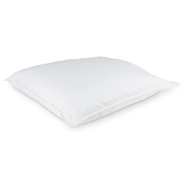 Pillow White 60x70cm Percale Cotton - Treb ADH