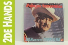 Juan Vicente Torrealba ‎– Pasajes Inmortales (LP) H40