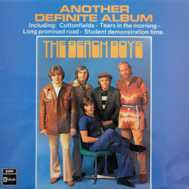 The Beach Boys – Another Definite Album (LP) L20