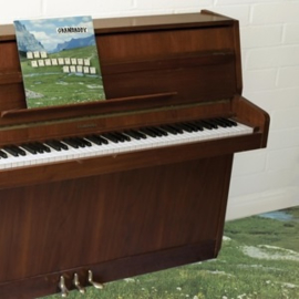 Grandaddy - Sophtware Slump ..... On a Wooden Piano (LP)