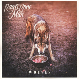 Rag'n'Bone Man ‎– Wolves (LP)